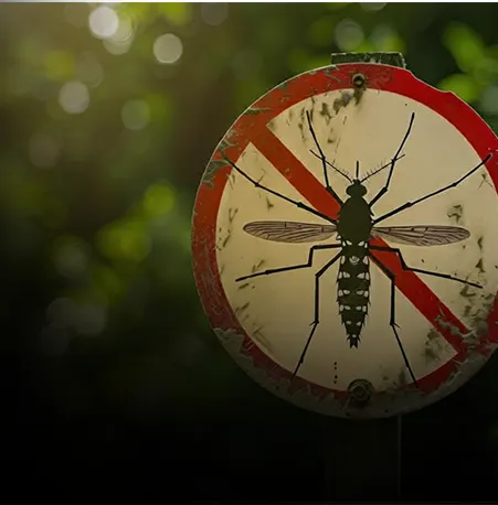 Seasonal Insect Control